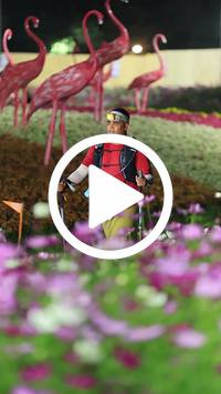 BIB:  <button type="button" onclick="openModal(27591155)" class="btn btn-primary btn-sm float-right" data-toggle="modal" data-target=".modal-high-quality">
                <i class="fa fa-download"></i> Download
                </button>